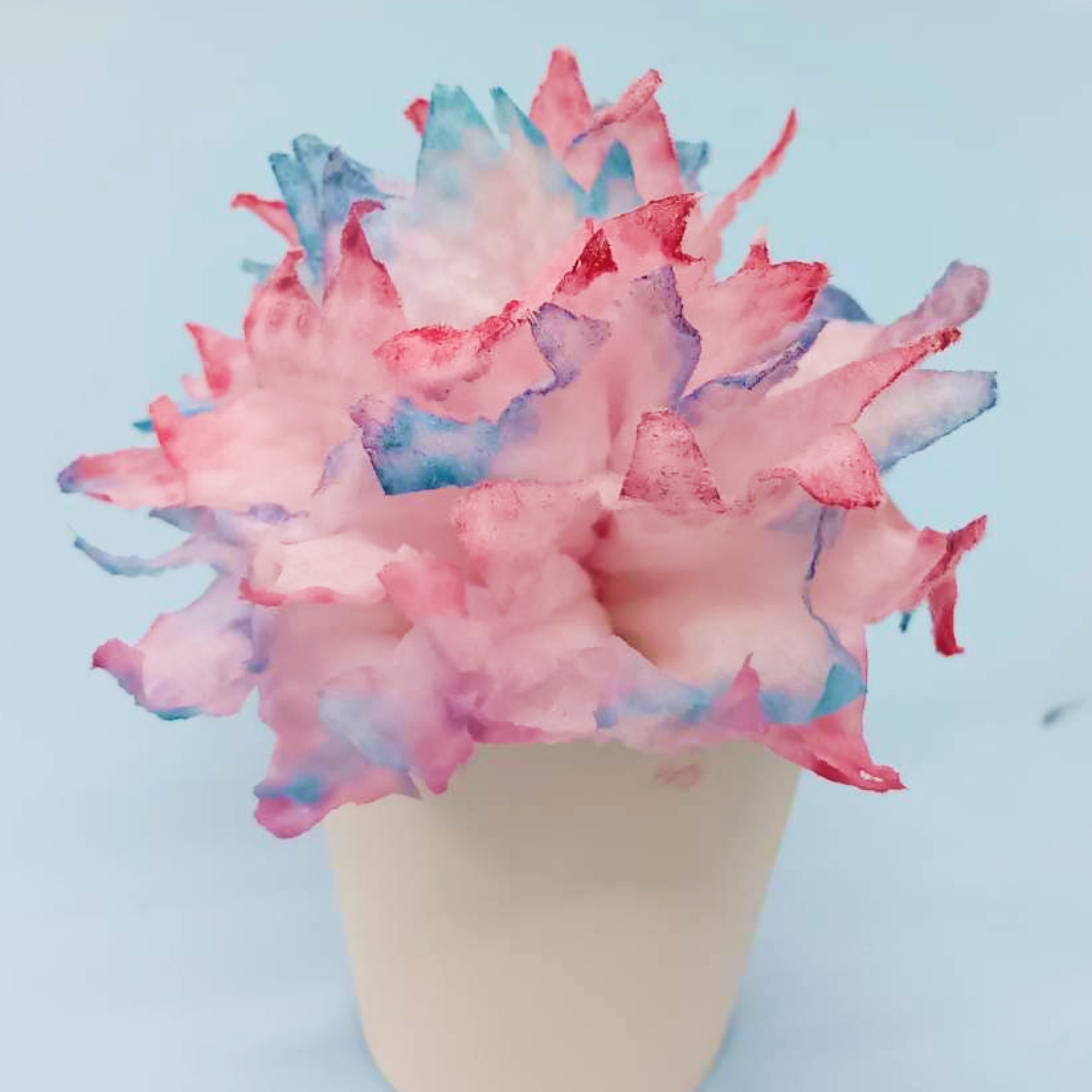 活動のようすごらんください